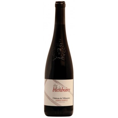 Chateau de Villeneuve - Saumur-Champigny - Clos de Bien Boire rouge 2020